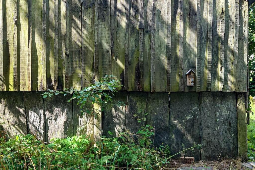 Longere Tinyhouse Avec Son Jardin-Foret Saint-Just  外观 照片